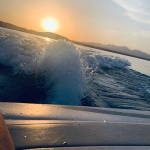 Meet your Posher, Bella